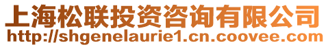 上海松聯(lián)投資咨詢有限公司