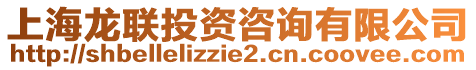 上海龍聯(lián)投資咨詢有限公司