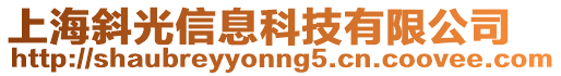 上海斜光信息科技有限公司