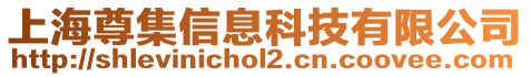 上海尊集信息科技有限公司