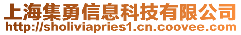 上海集勇信息科技有限公司