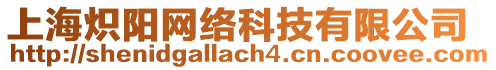 上海熾陽(yáng)網(wǎng)絡(luò)科技有限公司