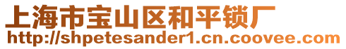 上海市寶山區(qū)和平鎖廠