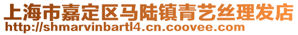 上海市嘉定區(qū)馬陸鎮(zhèn)青藝絲理發(fā)店