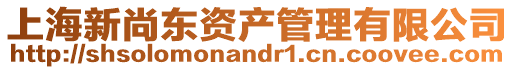 上海新尚東資產管理有限公司