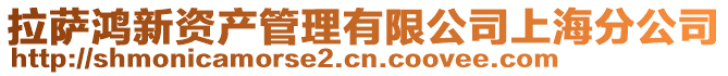 拉薩鴻新資產管理有限公司上海分公司