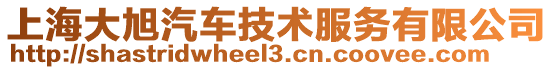 上海大旭汽車(chē)技術(shù)服務(wù)有限公司