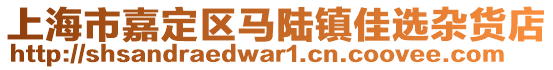 上海市嘉定區(qū)馬陸鎮(zhèn)佳選雜貨店