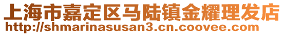 上海市嘉定區(qū)馬陸鎮(zhèn)金耀理發(fā)店