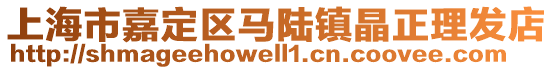 上海市嘉定區(qū)馬陸鎮(zhèn)晶正理發(fā)店