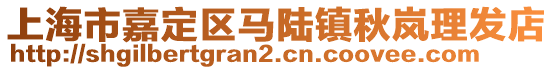 上海市嘉定區(qū)馬陸鎮(zhèn)秋嵐理發(fā)店