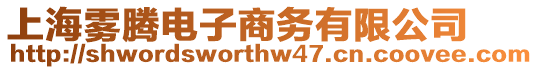 上海霧騰電子商務有限公司