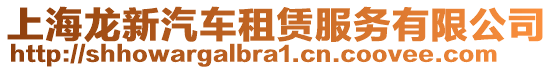 上海龍新汽車租賃服務(wù)有限公司