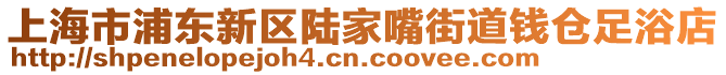 上海市浦東新區(qū)陸家嘴街道錢(qián)倉(cāng)足浴店