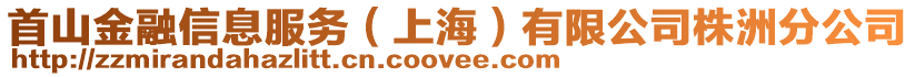 首山金融信息服務(wù)（上海）有限公司株洲分公司