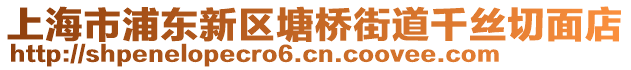 上海市浦東新區(qū)塘橋街道千絲切面店