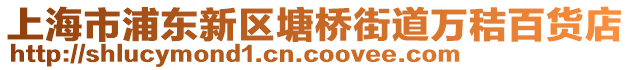 上海市浦東新區(qū)塘橋街道萬秸百貨店