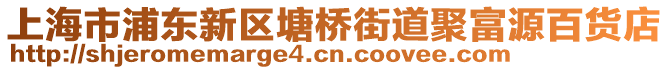 上海市浦東新區(qū)塘橋街道聚富源百貨店