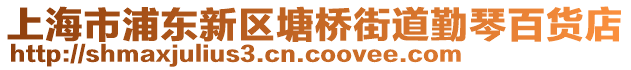 上海市浦東新區(qū)塘橋街道勤琴百貨店