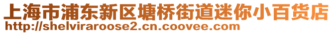 上海市浦東新區(qū)塘橋街道迷你小百貨店