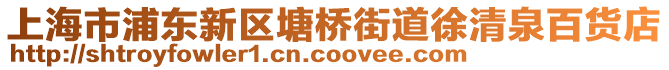 上海市浦東新區塘橋街道徐清泉百貨店