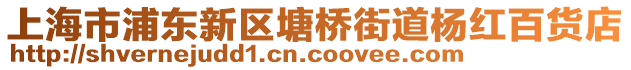 上海市浦東新區(qū)塘橋街道楊紅百貨店