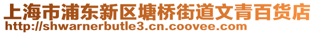 上海市浦東新區(qū)塘橋街道文青百貨店