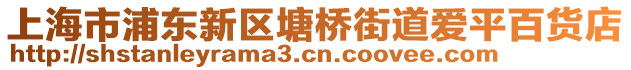 上海市浦東新區(qū)塘橋街道愛平百貨店