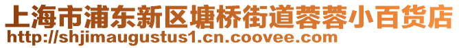 上海市浦東新區(qū)塘橋街道蓉蓉小百貨店