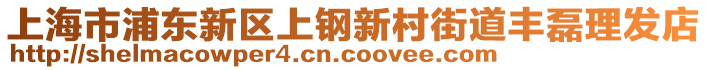 上海市浦東新區(qū)上鋼新村街道豐磊理發(fā)店