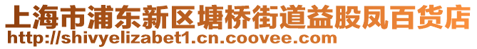 上海市浦東新區(qū)塘橋街道益股鳳百貨店