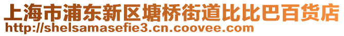 上海市浦東新區(qū)塘橋街道比比巴百貨店