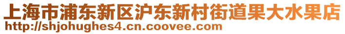 上海市浦東新區(qū)滬東新村街道果大水果店