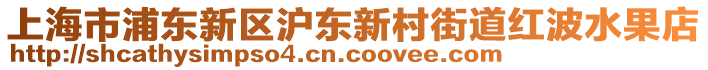 上海市浦東新區(qū)滬東新村街道紅波水果店