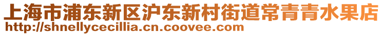 上海市浦東新區(qū)滬東新村街道常青青水果店