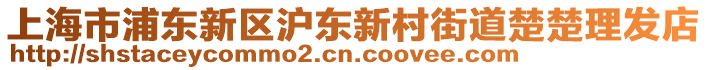 上海市浦東新區(qū)滬東新村街道楚楚理發(fā)店