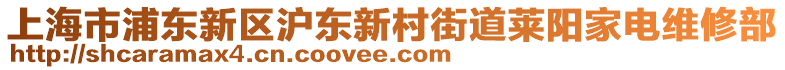 上海市浦東新區(qū)滬東新村街道萊陽(yáng)家電維修部