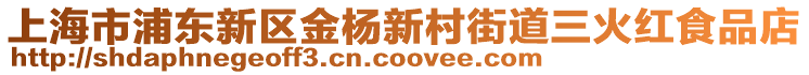 上海市浦東新區(qū)金楊新村街道三火紅食品店