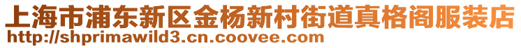 上海市浦東新區(qū)金楊新村街道真格閣服裝店