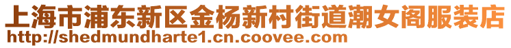 上海市浦東新區(qū)金楊新村街道潮女閣服裝店