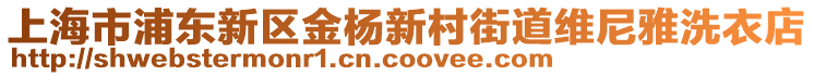 上海市浦東新區(qū)金楊新村街道維尼雅洗衣店