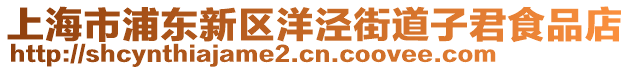 上海市浦東新區(qū)洋涇街道子君食品店