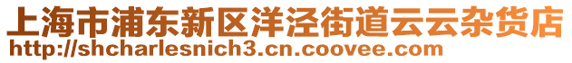 上海市浦東新區(qū)洋涇街道云云雜貨店