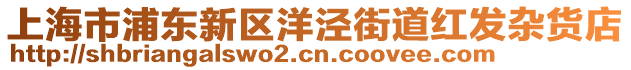 上海市浦東新區(qū)洋涇街道紅發(fā)雜貨店