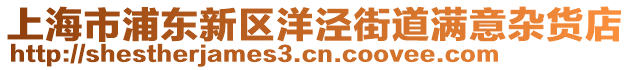 上海市浦東新區(qū)洋涇街道滿意雜貨店