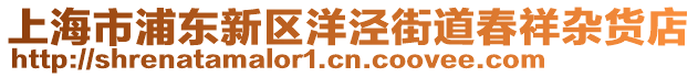 上海市浦東新區(qū)洋涇街道春祥雜貨店