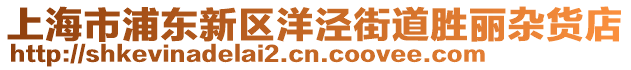 上海市浦東新區(qū)洋涇街道勝麗雜貨店