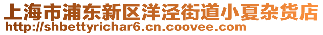 上海市浦東新區(qū)洋涇街道小夏雜貨店