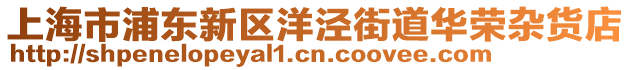 上海市浦東新區(qū)洋涇街道華榮雜貨店