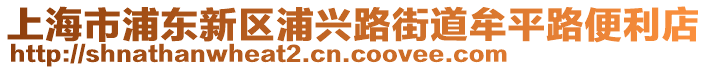 上海市浦東新區(qū)浦興路街道牟平路便利店